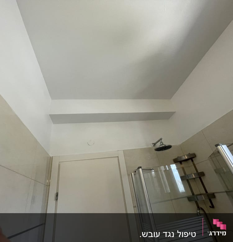 מקלחון עם דלתות זכוכית ואטימה סביב המקלחת